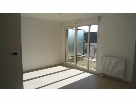 2 pieces - 40.50m2 - olivet