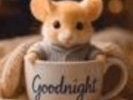 recherche maison calme