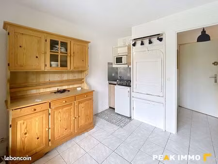 studio 1 pièce 19 m²