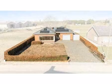 maison 4 façades avec grand jardin à kampenhout