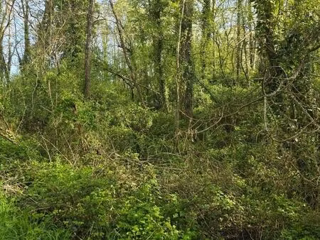 vente maison 2500 m² le champ-saint-père (85540)