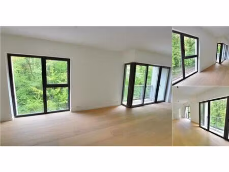 appartement à louer à rue du roseau 1 uccle (vbd94844)