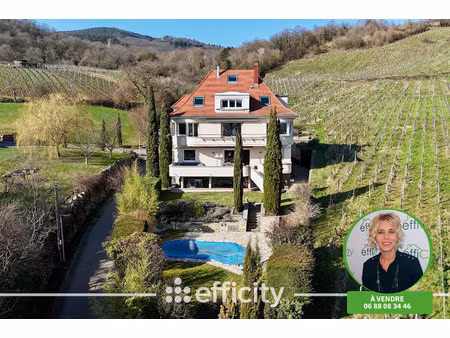 maison 12 pièces - 383 m²