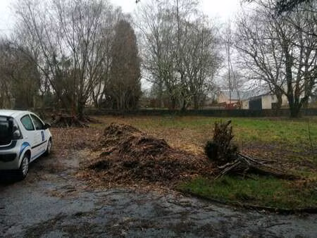 vente terrain à larré (56230) : à vendre / larré