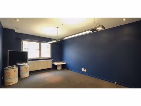 spacieux local professionnel