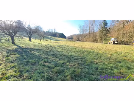 vente terrain à batir 1000 m² à charancieu (38490)  102 000 €