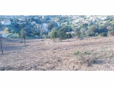 vente terrain 4625 m² à cuttoli-corticchiato (20167)  253 750 €