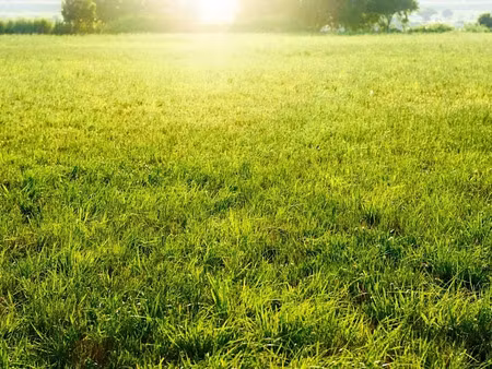 vente terrain 295 m² à palaiseau (91120)  200 000 €