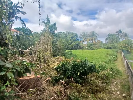 vente terrain à batir 2034 m² à sainte anne (97180)  162 000 €