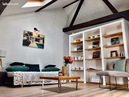 charmant loft hyper centre