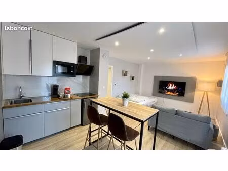 grand studio meublé centre ville / terrasse/ parking privée