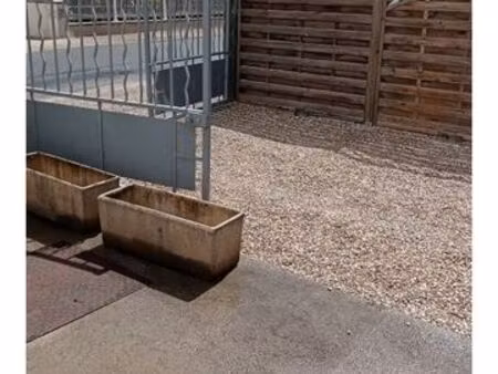 appartement meublé en location