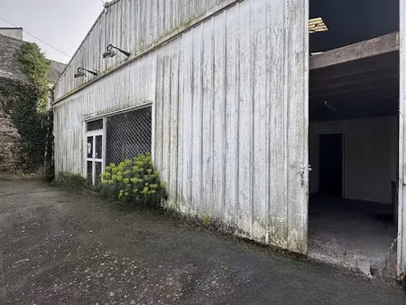 vente locaux professionnels 206 m² à baud (56150)  159 750 €
