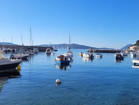 vente locaux professionnels 0 pièces 100 m² à bormes-les-mimosas (83230)  330 000 €