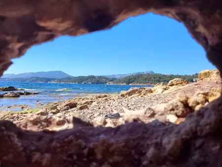 vente locaux professionnels 100 m² à bormes-les-mimosas (83230)  330 000 €