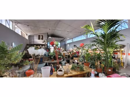 vente locaux professionnels 250 m² à cavaillon (84300)  59 000 €