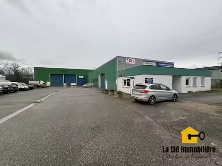 vente locaux professionnels 0 pièces 1255 m² à hombourg (68490)  1 545 000 €