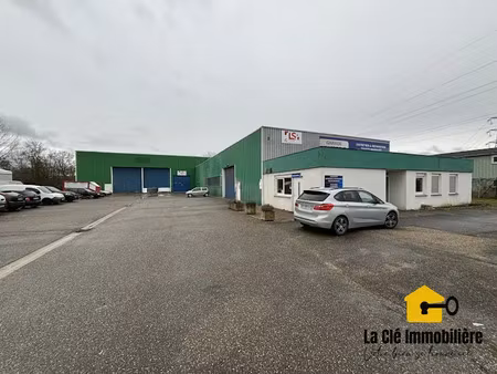 vente locaux professionnels 1255 m² à hombourg (68490)  1 545 000 €