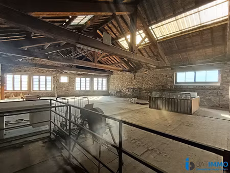 vente locaux professionnels 800 m² à mazamet (81200)  134 000 €