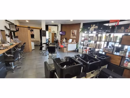 vente locaux professionnels 55 m² à sollies-pont (83210)  85 000 €