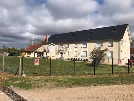 vente immeuble 0 pièces 535 m² à theillay (41300)  318 000 €