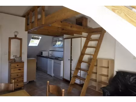 location meublée appartement 1 pièce 20 m² à saint-martin-d'heres (38400)  500 €