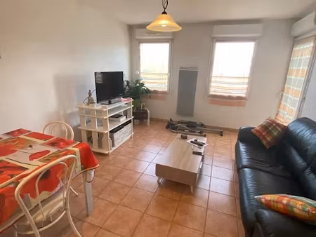 location appartement 3 pièces 55.38 m² à albi (81000)  561 €