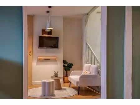 maison à vendre 3 pièces tours (37)