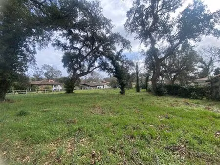 vente terrain à construire 1390 m² moliets-et-maâ (40660)