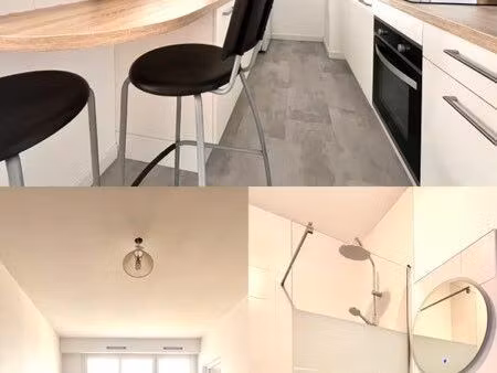 appartement t2 rénové et lumineux