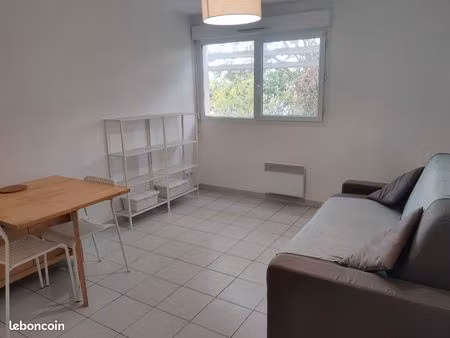 studio meublé vert bois