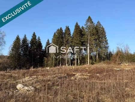 terrain constructible viabilisé à vendre