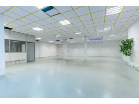 location locaux professionnels 222 m² à nice (06000)  5 500 €