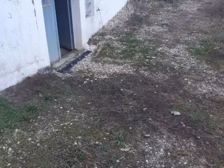 location maison à boulazac isle manoire (24750)  175 €