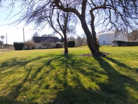 pavillon avec grand terrain clôturé