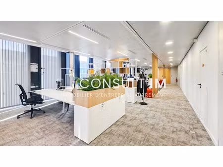 location locaux professionnels 308 m² à paris 13ème (75013)  15 880 €