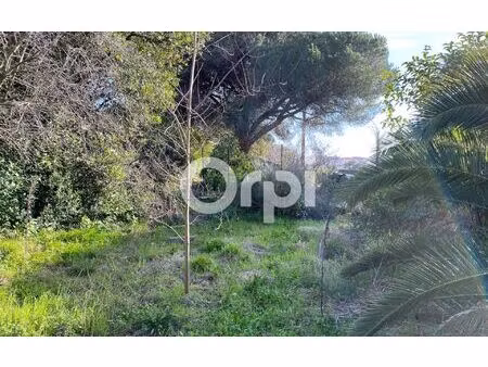 terrain cannes m² t- à vendre  340 000 €
