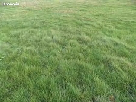 terrain 700 m² le coudray montceaux