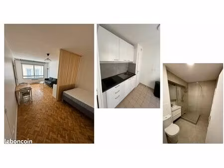 spacieux t1 meublé saxe gambetta