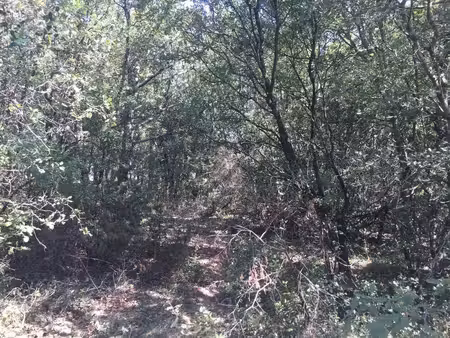 terrain à vendre à labastide-de-virac 2002m² en ardèche méridionale
