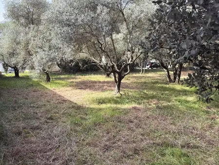 terrain à vendre castries 529m2 325 000€