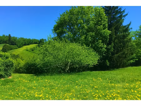 terrain à vendre cos 1816m2 55 000€