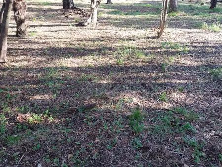 à ouveillan (11)  terrain constructible de 449m2 à vendre