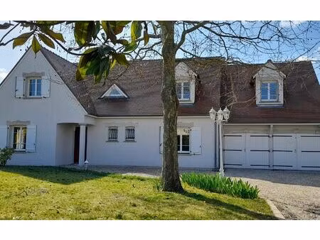 maison ormes 250 m² t-6 à vendre  599 900 €