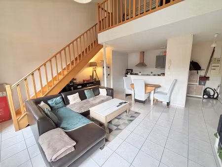 appartement à louer albi