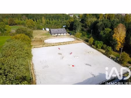 haras à dollon (72390)