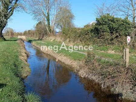 vente terrain à genêts (50530) : à vendre / 12500m² genêts