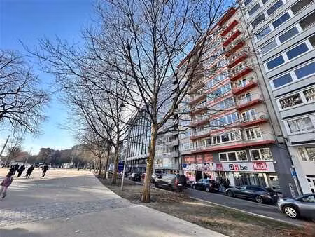 grand appartement 2/3 ch + cave