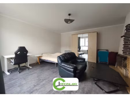 location appartement t1 meublé à vibraye (72320) : à louer t1 meublé / 56m² vibraye