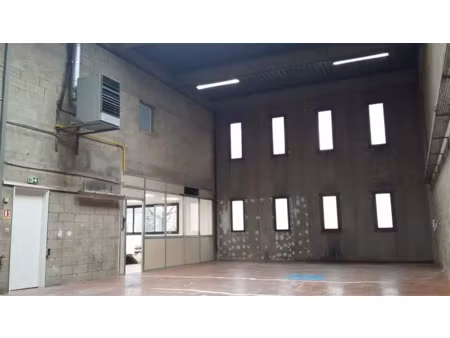 local d'activités a louer